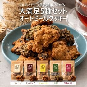 【日替わり数量限定】【5種/500g(100g×5袋)】オートミールクッキー(5種各1袋セット)※割れ欠けあり 【先行チケット利用NG】
