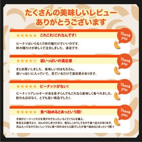 【日替わり数量限定】【800g】柿の種 (醤油味) ピーナッツなし 割れ欠け不揃い おつまみにも 【メール便2個口配送】【先行チケット利用NG】
