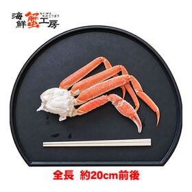 【約500g(4肩から5肩前後)】ボイル冷凍 大ズワイガニ セクション 【規格外品】