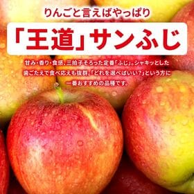 【予約受付】11/1~順次出荷【10kg】 青森県産 ご家庭用りんご サンふじ