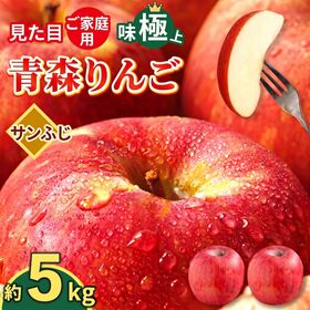 【予約受付】11/1~順次出荷【5kg】 青森県産 ご家庭用りんご サンふじ