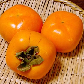 【予約受付】10/15~順次出荷【10kg(48-80玉入り)】山形県庄内産無選別 庄内柿※種なし