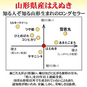 【5kg】令和8年産 山形県産 はえぬき (玄米)