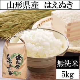 【5kg】令和8年産 山形県産 はえぬき (無洗米)