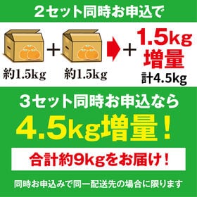 【予約受付】10/19~出荷【極早生~早生1.5kg】香川県産みかん ※ご家庭用(傷あり 不揃い)