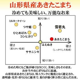 【10kg】【予約受付】10/13~順次出荷 令和8年産 山形県産 あきたこまち (玄米)