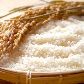【27kg】【予約受付】10/13~順次出荷 令和8年産 山形県産 あきたこまち (無洗米)