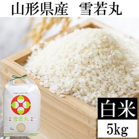 【5kg】 令和8年産 山形県産 雪若丸 (精米)