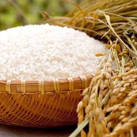 【5kg】 令和8年産 山形県産 雪若丸 (精米)