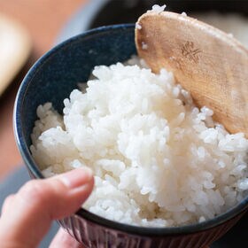 【10kg】令和8年産 山形県産 ミルキークイーン (無洗米)