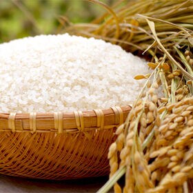 【27kg】令和8年産 山形県産 ミルキークイーン (精米)