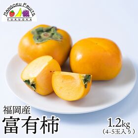 【予約受付】11月上旬~順次出荷【福岡】1.2kg  富有柿