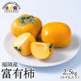 【予約受付】11月上旬~順次出荷【福岡】2.5kg  富有柿