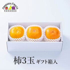 【九州】3玉　柿ギフト箱