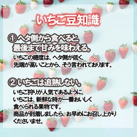 【予約受付】11月下旬~順次出荷【福岡】2パック　あまおう苺デラックス