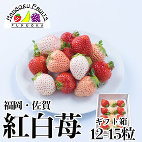 【予約受付】12月上旬~順次出荷【福岡・佐賀他】12-15粒ギフト箱　紅白苺（あまおう＆白いちご）