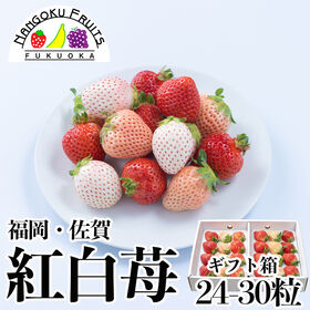 【予約受付】12月上旬~順次出荷【福岡・佐賀他】24-30粒ギフト箱　紅白苺（あまおう＆白いちご） | ギフト、お祝ごと、イベントにおススメ！