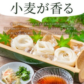 【800g/8人前】讃岐そうめん 素麺 8束 讃岐うどん製法（そうめん100g×4束）×2袋