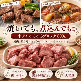 【約800g】牛タン 小ブロック（タン先・タン中）