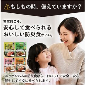 ニッポンハム　防災食4種セット GL-BO