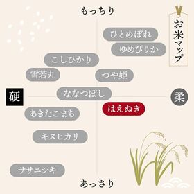 【10kg(5kg×2袋)】令和8年産！山形県産 はえぬき 精米