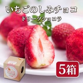 【賞味期限間近】【5箱（1箱50g）】北海道　いちごのしみチョコ ドリーツショコラ