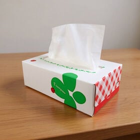 【150組 5箱×20パック：計100箱】てんとう虫 BOX ティッシュペーパー