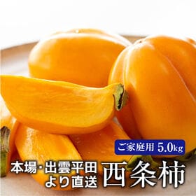 【予約受付】10/22~順次出荷【5.0kg】島根県出雲市平田産 西条柿（ご家庭用）