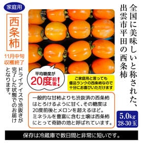 【予約受付】10/22~順次出荷【5.0kg】島根県出雲市平田産 西条柿（ご家庭用）
