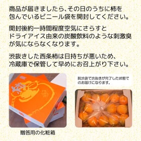 【予約受付】10/22~順次出荷【秀品 2.5kg】島根県出雲市平田産 西条柿