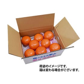 【予約受付】12/3~順次出荷【2kg】みはや 秀品 熊本県産