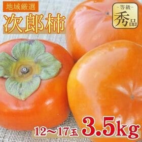 【予約受付】11/10~順次出荷【約3.5kg/12~17玉】《秀品》地域厳選 次郎柿 | カリカリ食感からトロトロまで甘みが特徴♪