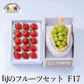 【予約受付】12月上旬~順次出荷 旬のフルーツセットF17 (あまおう・シャインマスカット) | 旬のフルーツを1箱に！冬の定番フルーツを詰合せにしました。