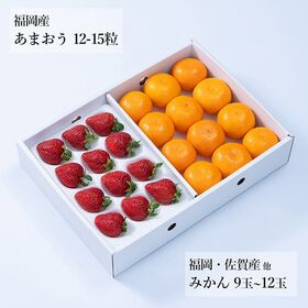 【予約受付】12月上旬~順次出荷 旬のフルーツセットF22 (あまおう・蜜柑)