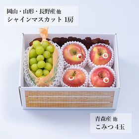 【予約受付】11月下旬~順次出荷 旬のフルーツセットF26（シャインマスカット・こみつ）