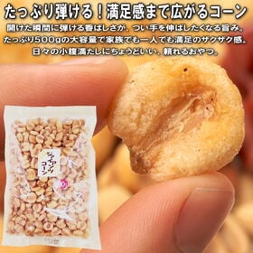 【日替わり数量限定】【500g】毎日つまめる大容量のジャイアントコーン<サンプル百貨店オリジナル>【先行チケット利用NG】