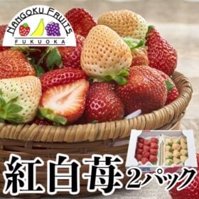 【予約受付】12月上旬~順次出荷【福岡・佐賀他】2パック　紅白苺（あまおう＆白いちご） | ギフト、お祝ごと、イベントにおススメ！