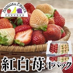 【予約受付】12月上旬~順次出荷【福岡・佐賀他】4パック　紅白苺（あまおう＆白いちご） | ギフト、お祝ごと、イベントにおススメ！