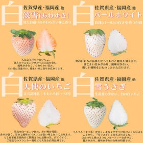 【予約受付】12月上旬~順次出荷【福岡・佐賀他】4パック　紅白苺（あまおう＆白いちご）