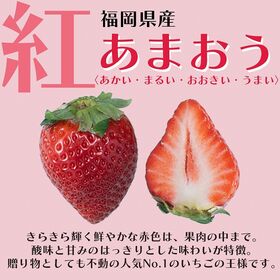 【予約受付】12月上旬~順次出荷【福岡・佐賀】5粒　紅白いちごギフトボックス