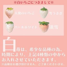 【予約受付】12月上旬~順次出荷【福岡・佐賀】10粒　紅白いちごギフトボックス
