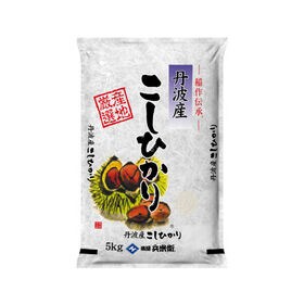 【10kg(5kg×2袋)】コシヒカリ(精白米) 丹波産 令和8年産
