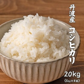 【20kg(5kg×4袋)】コシヒカリ(精白米) 丹波産 令和8年産 | ふっくらつやつやモチモチほんのり甘い♪定番のコシヒカリ★冷めても美味しい！工場直送で新鮮