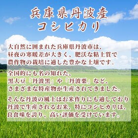 【20kg(5kg×4袋)】コシヒカリ(精白米) 丹波産 令和8年産