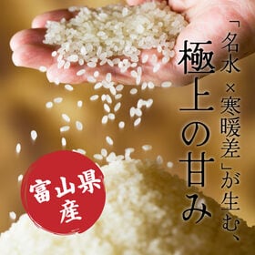 【10kg(5kg×2袋)】【白米】富山県産 コシヒカリ 令和8年産