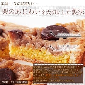 【日替わり数量限定】【 5号 】モンブランタルト 蜜で煮込んだ栗がたっぷり 【先行チケット利用NG】