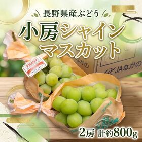 【計約800g(2房)】長野県産シャインマスカット
