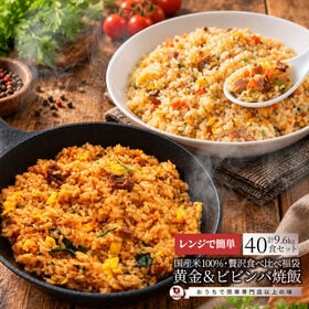 【2種/計40食】ピリ辛コク旨ビビンバとたっぷり卵のチャーハン 各20食セット