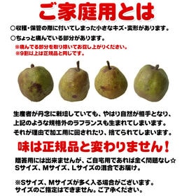 【早出し】【約10kg(42-50玉入り 】ご家庭用 ラフランスS~Lサイズ