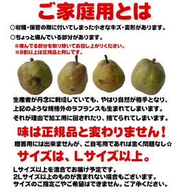 【早出し】【約10kg(20-40玉入り)】ご家庭用ラフランスLサイズ以上